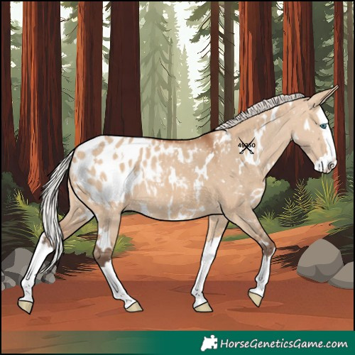 Horse Color:White Spotted Silver Bay Dun Splash Blanket Rabicano 