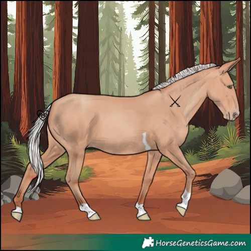 Horse Color:Silver Amber Champagne Tobiano
