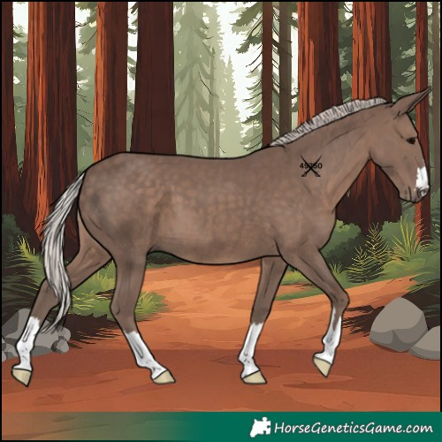 Horse Color:Silver Black 