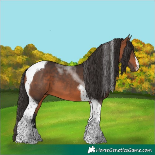 Horse Color:Bay Tobiano 
