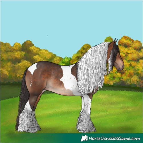 Horse Color:Brown Tobiano Rabicano 