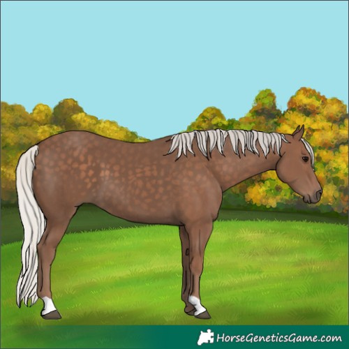 Horse Color:Silver Black