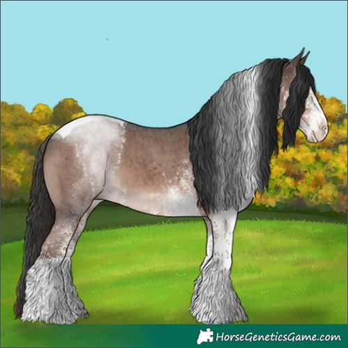 Horse Color:White Spotted Liver Chestnut Tobiano