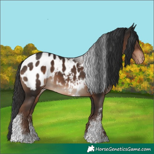 Horse Color:Liver Chestnut Sabino Tobiano Blanket 