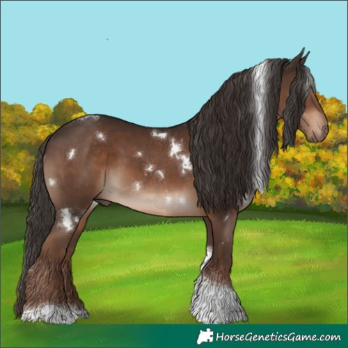 Horse Color:White Spotted Liver Chestnut Tobiano 