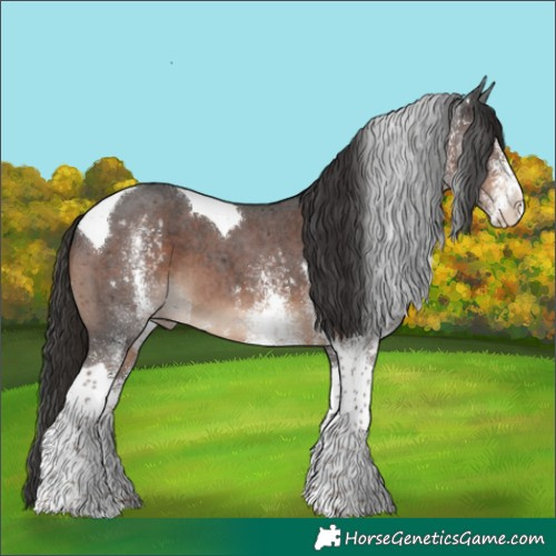 Horse Color:White Spotted Liver Chestnut Tobiano