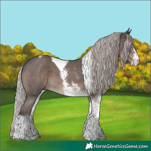 Horse Color:Silver Black Sabino Tobiano