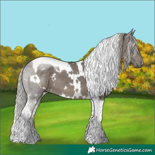Horse Color:White Spotted Silver Black Tobiano