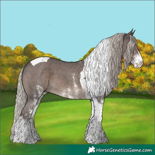 Horse Color:White Spotted Silver Black Tobiano