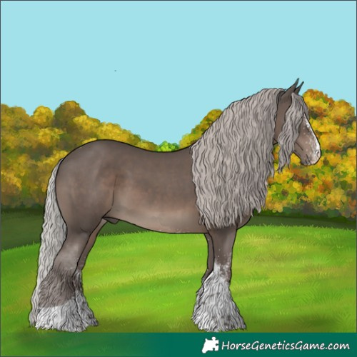 Horse Color:White Spotted Silver Black Tobiano