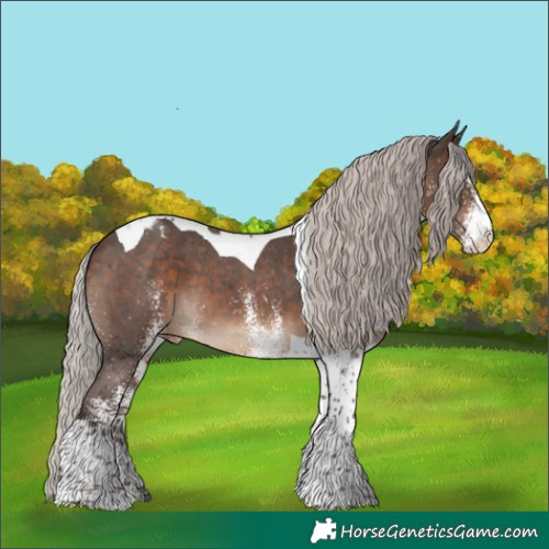 Horse Color:White Spotted Silver Brown Tobiano Varnish