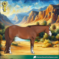 Horse Color:Chocolate Bay