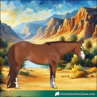 Horse Color:Chocolate Bay 