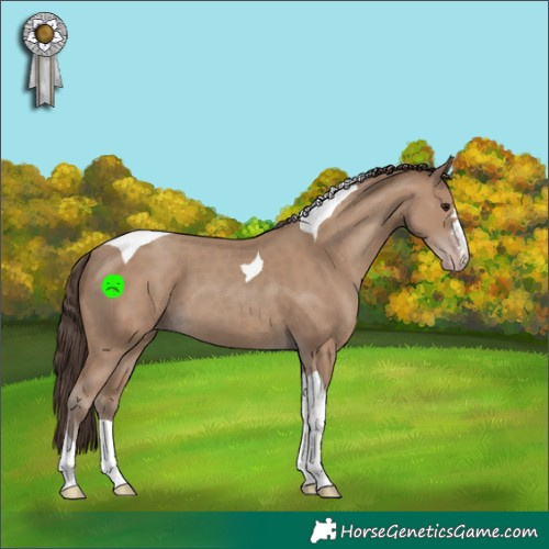 Horse Color:Classic Champagne Tobiano 