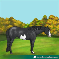 Horse Color:Black Frame 