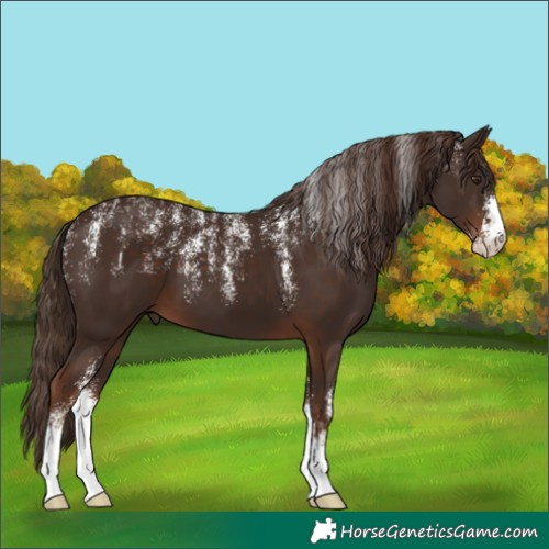 Horse Color:Powder White Liver Chestnut 
