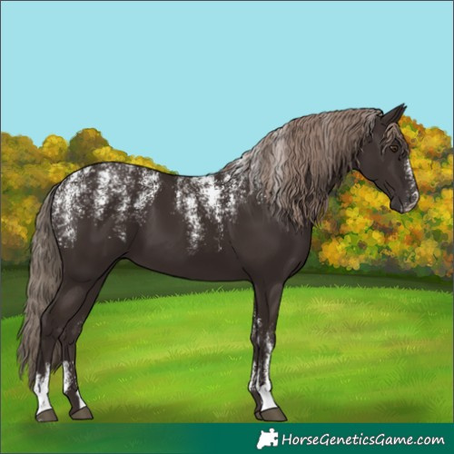 Horse Color:Powder White Liver Chestnut