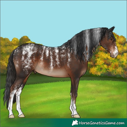 Horse Color:Powder White Liver Chestnut 