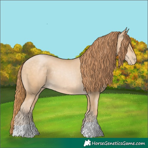 Horse Color:Buckskin Snowdrop 