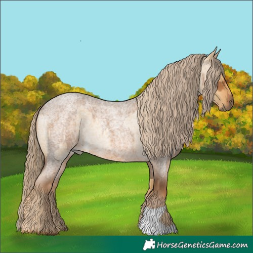 Horse Color:Palomino Roan Dun and Chocolate Palomino Roan