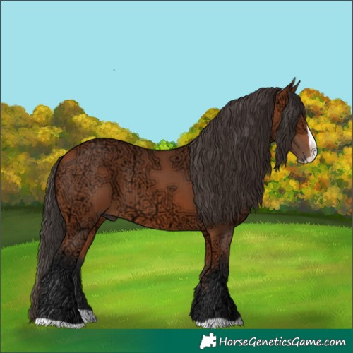 Horse Color:Bay Ice Splash Rabicano 