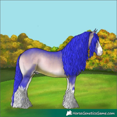 Horse Color:Watercolor White Spotted Brown Onyx Rabicano