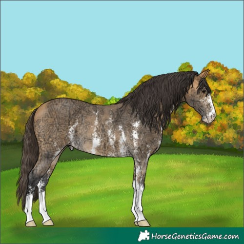 Horse Color:Buckskin Ice Sabino Rabicano 