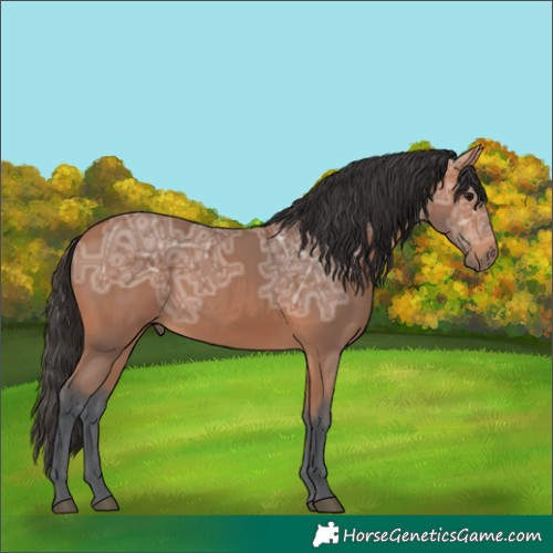 Horse Color:Bay Ice Rabicano