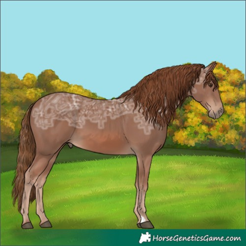 Horse Color:Chestnut Ice