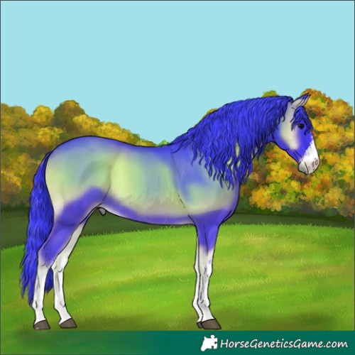 Horse Color:Watercolor White Spotted Smoky Blue Onyx Rabicano