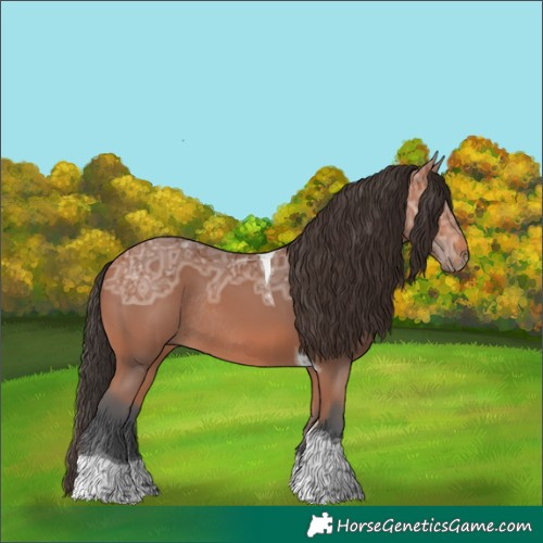 Horse Color:Bay Ice Tobiano Rabicano