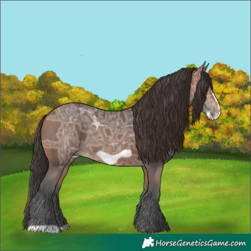Horse Color:Bay Ice Frame 