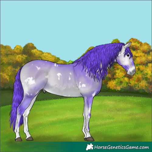 Horse Color:Watercolor White Spotted Buckskin Onyx Rabicano 