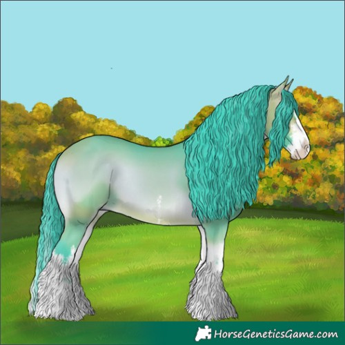 Horse Color:Watercolor White Spotted Buckskin Onyx Splash Rabicano