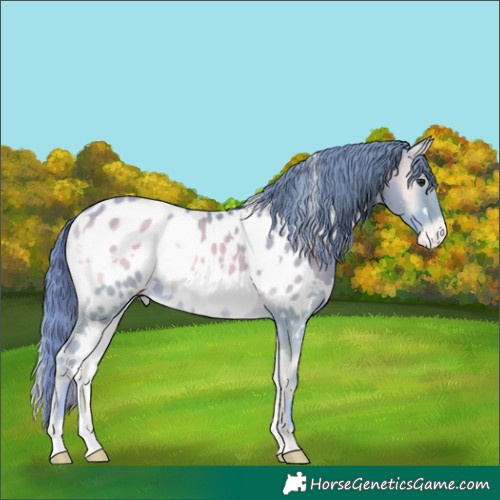 Horse Color:Watercolor White Spotted Classic Cream Champagne Onyx Near Leopard
