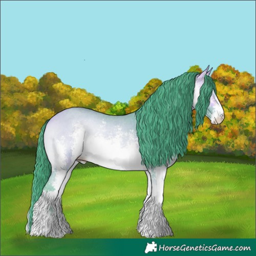 Horse Color:Watercolor White Spotted Buckskin Onyx Sabino