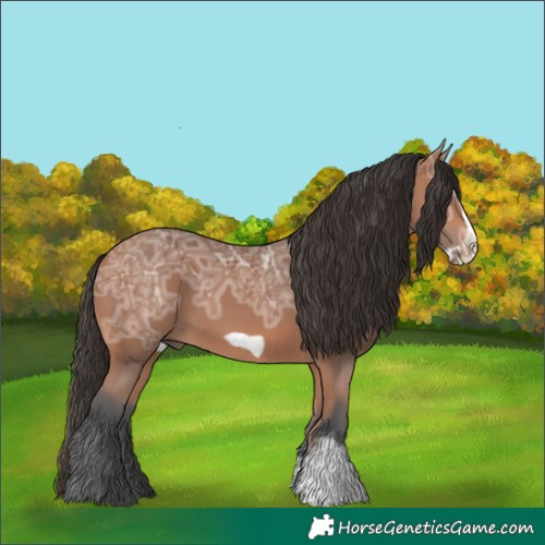 Horse Color:Bay Ice Sabino Frame Rabicano 