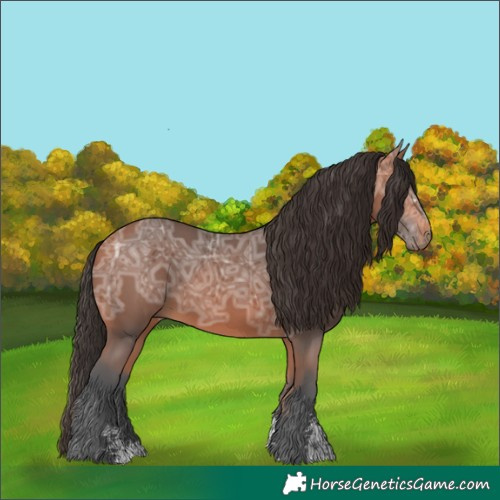 Horse Color:Bay Ice Sabino