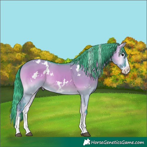 Horse Color:Watercolor White Spotted Grullo Onyx Splash Rabicano