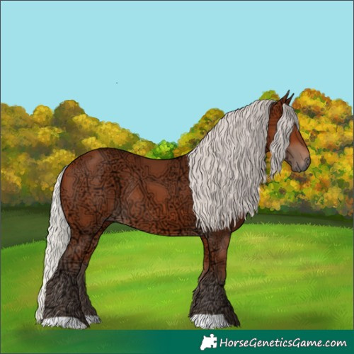 Horse Color:Silver Bay Ice Rabicano 