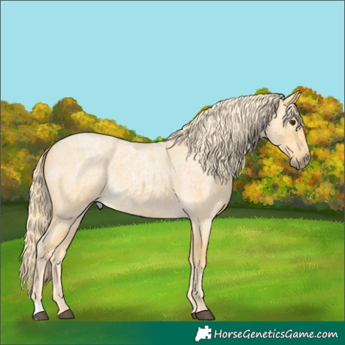 Horse Color:Palomino Ice Roan 