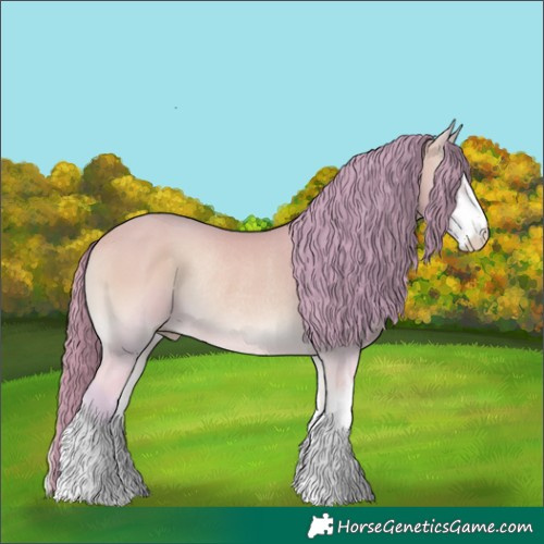Horse Color:Watercolor White Spotted Perlino Onyx Rabicano 