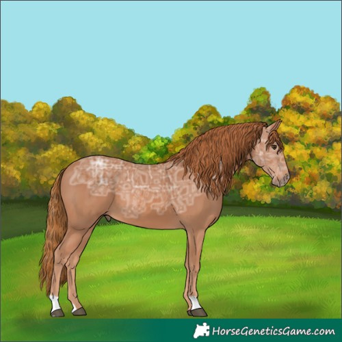 Horse Color:Chestnut Ice 