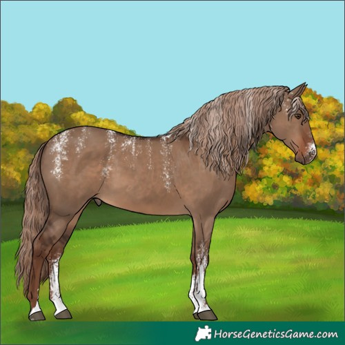 Horse Color:Powder White Liver Red Dun