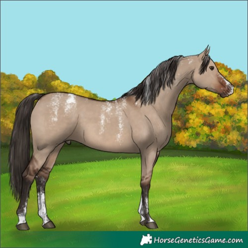 Horse Color:Powder White Liver Red Dun