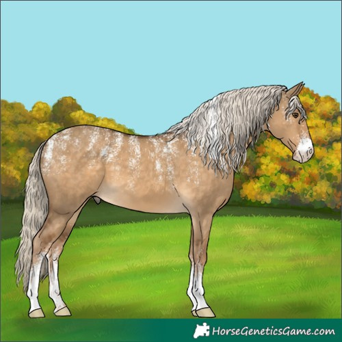Horse Color:Powder White Chocolate Palomino Dun