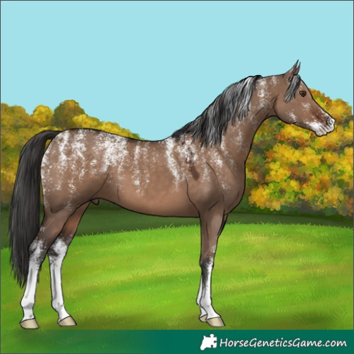 Horse Color:Powder White Liver Red Dun