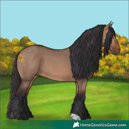 Horse Color:Brown Dun 