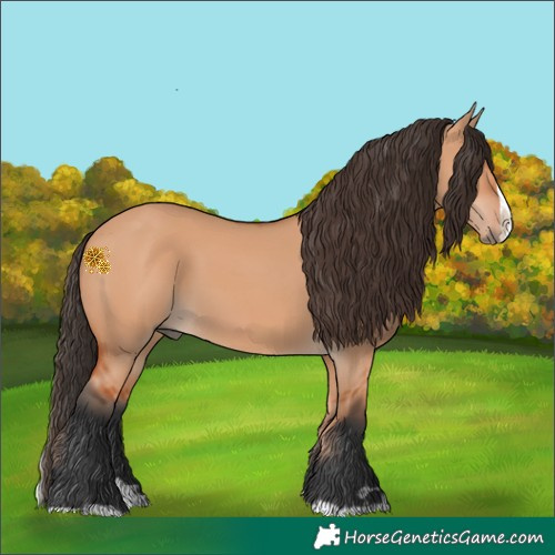 Horse Color:Bay Dun Splash