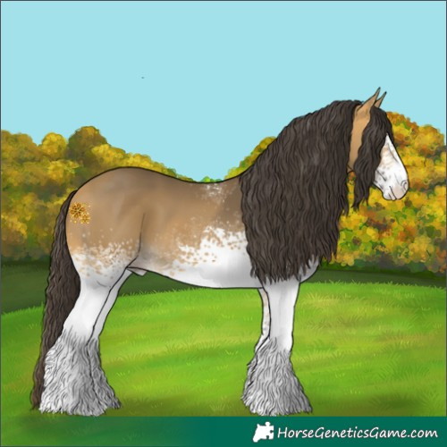Horse Color:White Spotted Buckskin 
